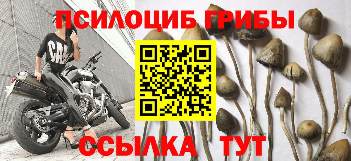 Галлюциногенные грибы Magic Shrooms Тельмана