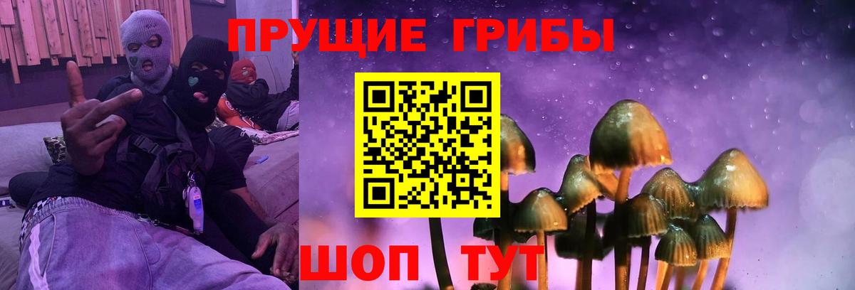 Галлюциногенные грибы Psilocybine cubensis  Вход с VPN  сколько стоит  Тельмана 